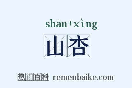 山杏是什么意思的图片